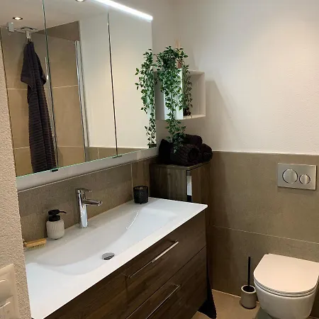 Wef 2026 Ferienwohnung, 1min Von Kongresshaus *