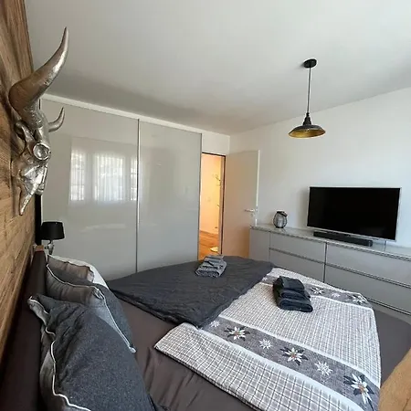 WEF 2026 Ferienwohnung, 1min von Kongresshaus, geeignet für 2 Personen