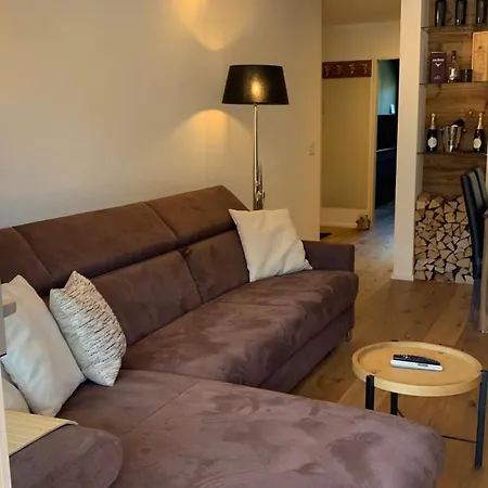 Wef 2026 Ferienwohnung, 1min Von Kongresshaus, Geeignet Für 2 Personen *