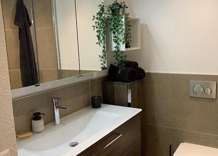 Wef 2026 Ferienwohnung, 1min Von Kongresshaus, Geeignet Für 2 Personen *