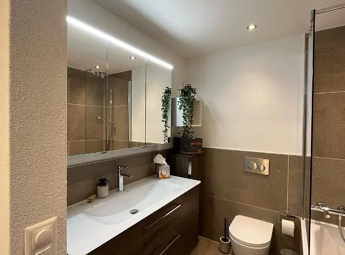 Wef 2026 Ferienwohnung, 1min Von Kongresshaus, Geeignet Für 2 Personen Davos