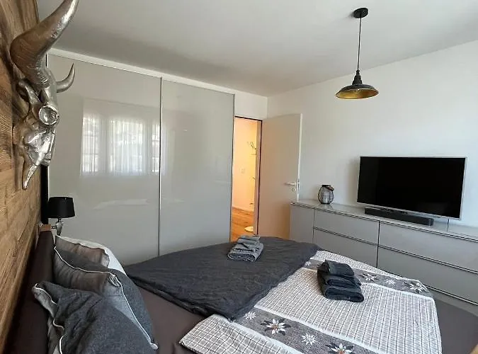Wef 2026 Ferienwohnung, 1min Von Kongresshaus, Geeignet Für 2 Personen